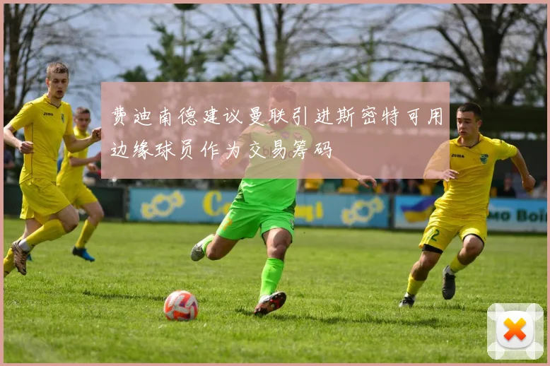 费迪南德建议曼联引进斯密特可用边缘球员作为交易筹码